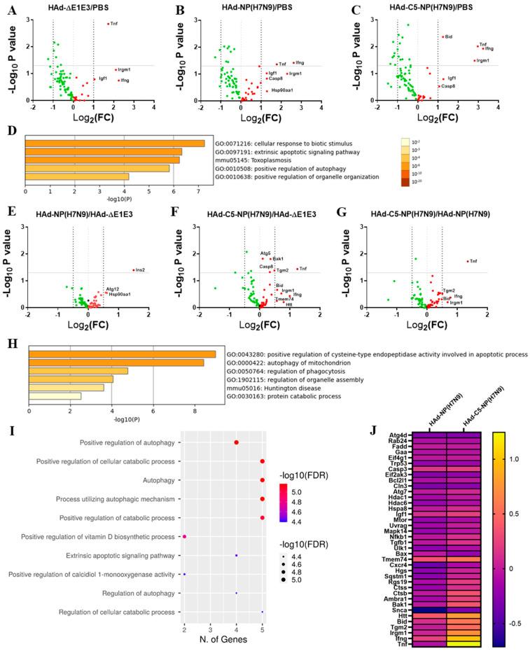 https://cdn.ncbi.nlm.nih.gov/pmc/blobs/942d/10892571/772f5c4c650d/vaccines-12-00157-g007.jpg