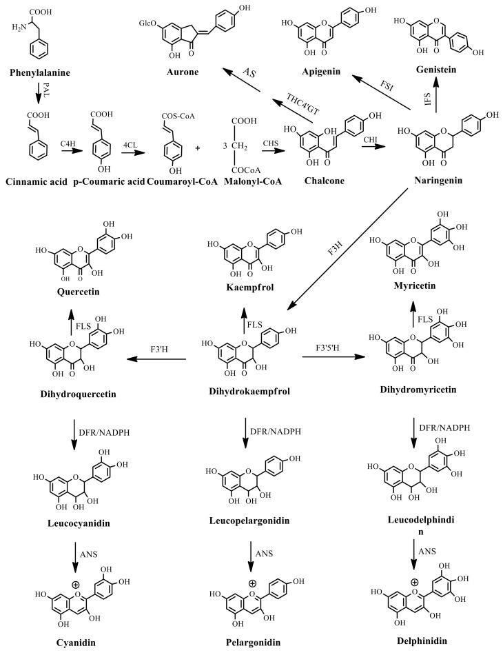 https://cdn.ncbi.nlm.nih.gov/pmc/blobs/9445/6017249/1302bca88ed9/molecules-23-00762-g001.jpg