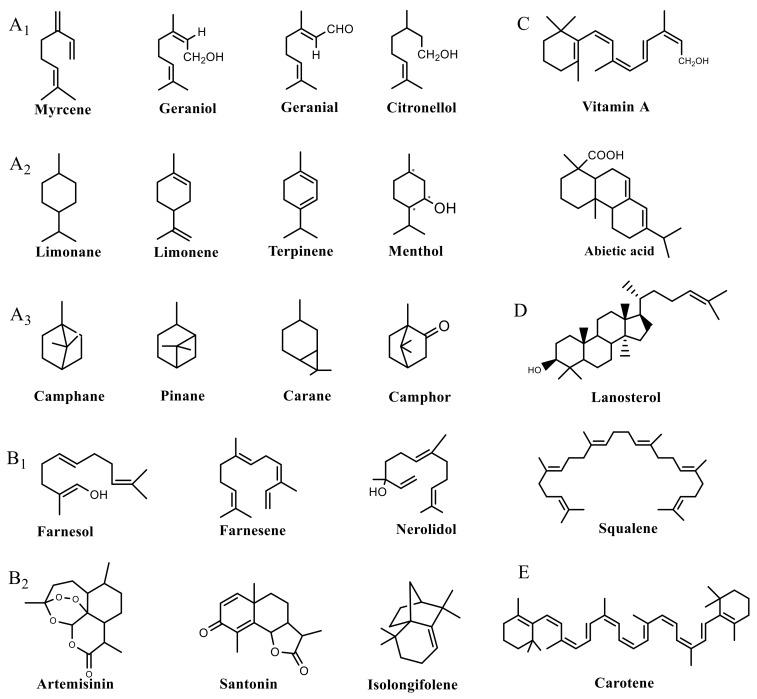 https://cdn.ncbi.nlm.nih.gov/pmc/blobs/9445/6017249/78624b5e2f67/molecules-23-00762-g002.jpg