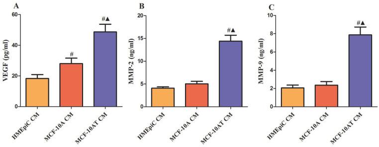 https://cdn.ncbi.nlm.nih.gov/pmc/blobs/9445/8811422/b36d4f7299d8/10.1177_15347354211069397-fig3.jpg