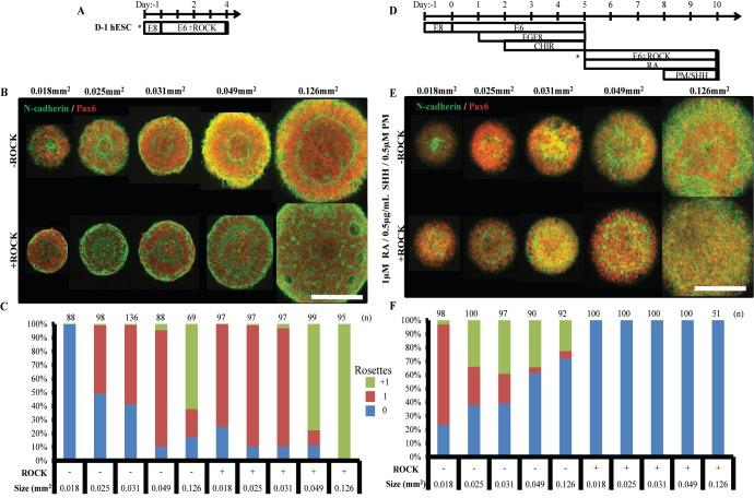 https://cdn.ncbi.nlm.nih.gov/pmc/blobs/9472/6205811/239c63f7b723/elife-37549-fig5.jpg