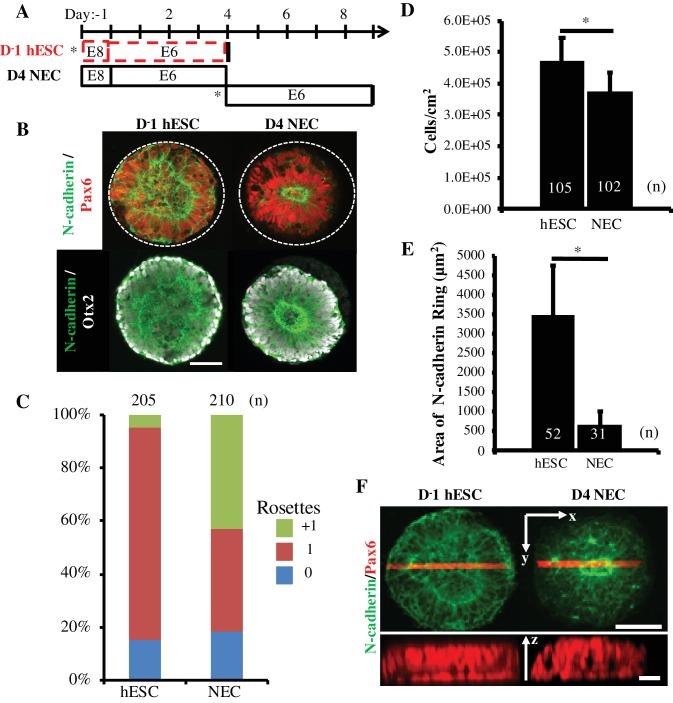 https://cdn.ncbi.nlm.nih.gov/pmc/blobs/9472/6205811/33c61a00979c/elife-37549-fig3.jpg