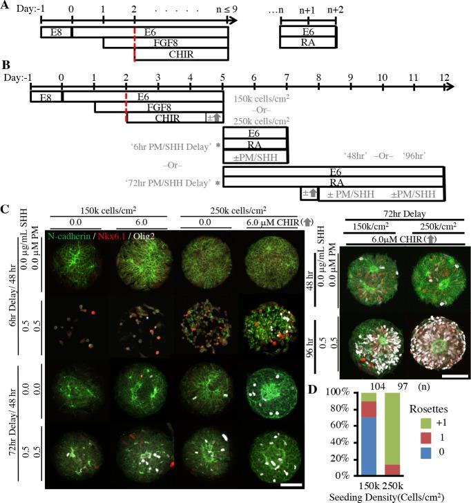 https://cdn.ncbi.nlm.nih.gov/pmc/blobs/9472/6205811/90012f3ed326/elife-37549-fig4.jpg