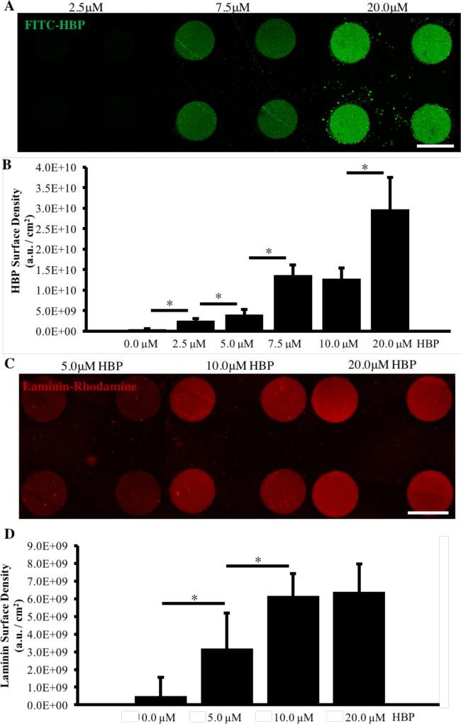 https://cdn.ncbi.nlm.nih.gov/pmc/blobs/9472/6205811/cc5d4bfea171/elife-37549-fig6-figsupp3.jpg