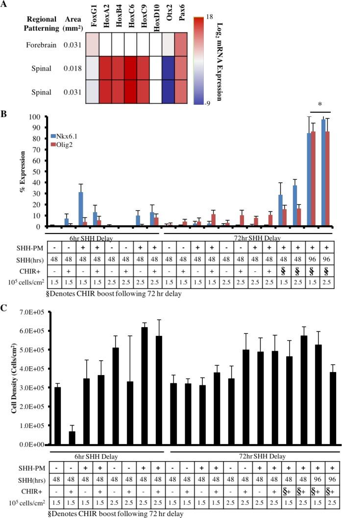 https://cdn.ncbi.nlm.nih.gov/pmc/blobs/9472/6205811/d3c9416a4181/elife-37549-fig4-figsupp1.jpg