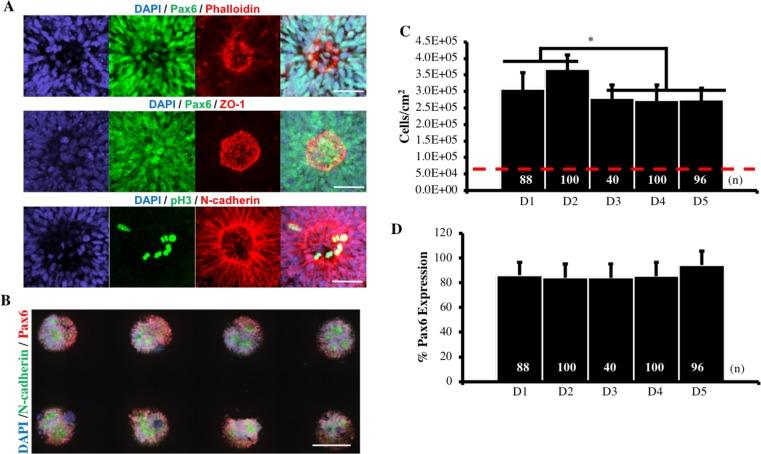 https://cdn.ncbi.nlm.nih.gov/pmc/blobs/9472/6205811/eed435dd5e3d/elife-37549-fig1-figsupp1.jpg