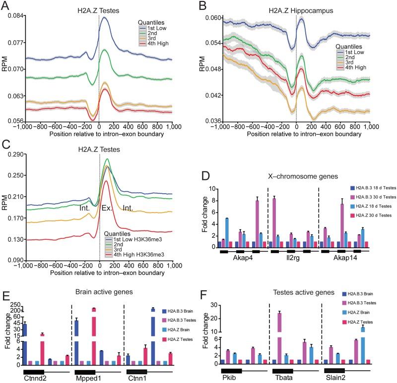 https://cdn.ncbi.nlm.nih.gov/pmc/blobs/9474/5345878/2fb8edab54ee/pgen.1006633.g002.jpg