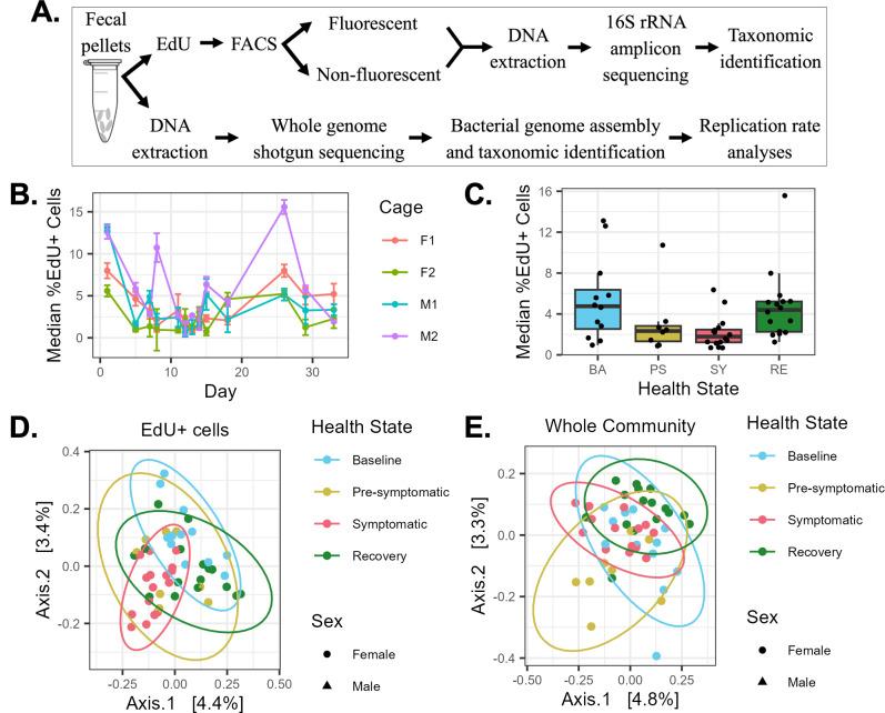https://cdn.ncbi.nlm.nih.gov/pmc/blobs/9479/11774032/a369d7b50a28/msphere.00825-24.f002.jpg