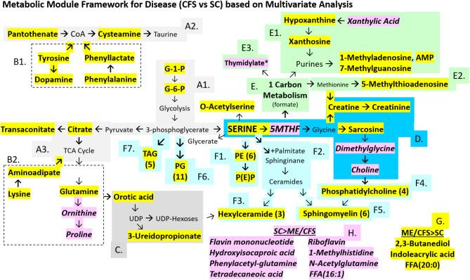 https://cdn.ncbi.nlm.nih.gov/pmc/blobs/94a4/11873053/0597f348f43d/41598_2025_91324_Fig1_HTML.jpg