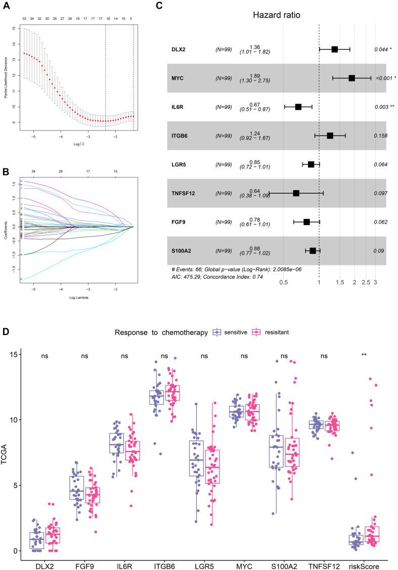 https://cdn.ncbi.nlm.nih.gov/pmc/blobs/94a5/8119901/d86d272a7e95/fcell-09-665161-g001.jpg