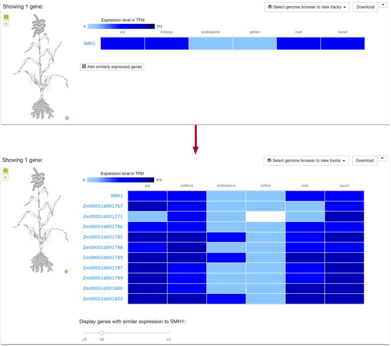 https://cdn.ncbi.nlm.nih.gov/pmc/blobs/94b6/5753389/dde72462c79b/gkx1158fig1.jpg