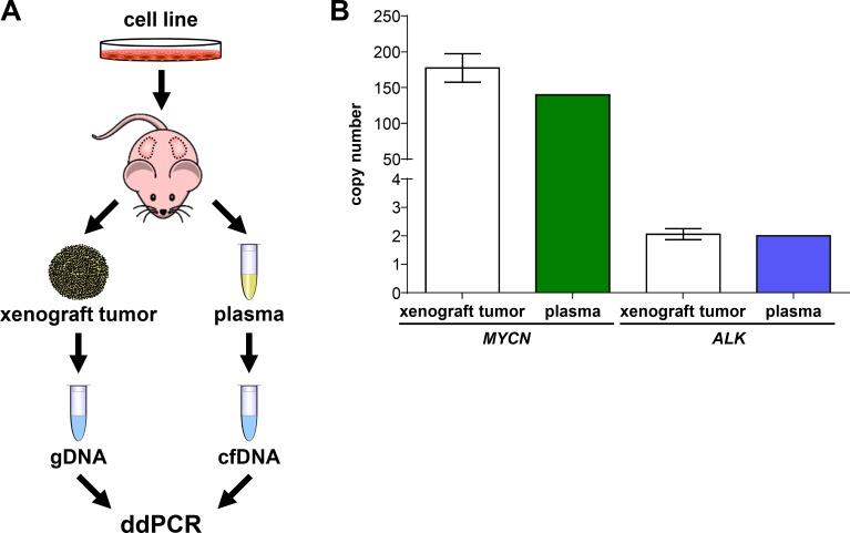 https://cdn.ncbi.nlm.nih.gov/pmc/blobs/94e6/5689606/0b68badbf930/oncotarget-08-85234-g007.jpg
