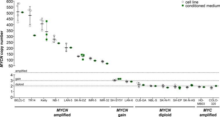 https://cdn.ncbi.nlm.nih.gov/pmc/blobs/94e6/5689606/8406770acef7/oncotarget-08-85234-g004.jpg
