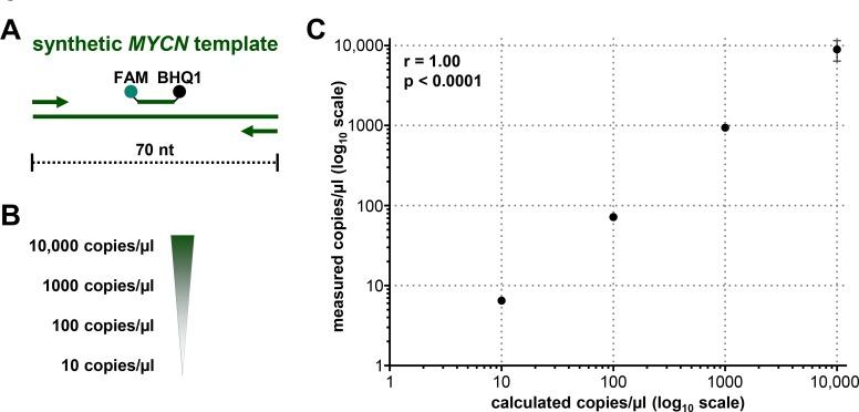 https://cdn.ncbi.nlm.nih.gov/pmc/blobs/94e6/5689606/d8e866f37fba/oncotarget-08-85234-g002.jpg