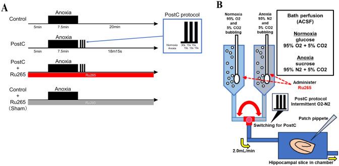 https://cdn.ncbi.nlm.nih.gov/pmc/blobs/94ec/11407174/9520772e4785/10571_2024_1464_Fig1_HTML.jpg