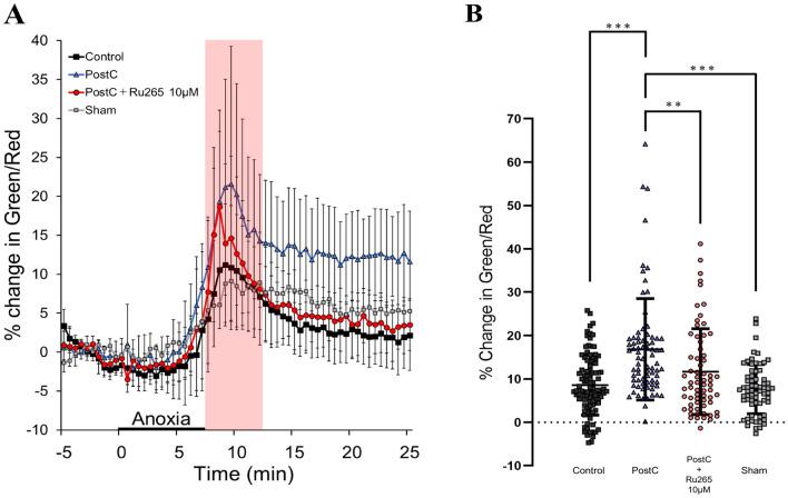 https://cdn.ncbi.nlm.nih.gov/pmc/blobs/94ec/11407174/95c0a5bdcd34/10571_2024_1464_Fig6_HTML.jpg