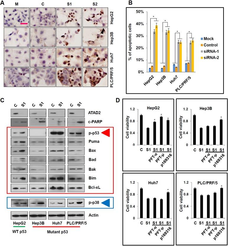 https://cdn.ncbi.nlm.nih.gov/pmc/blobs/94ee/4747184/e240c0f3a3f8/oncotarget-06-41722-g004.jpg