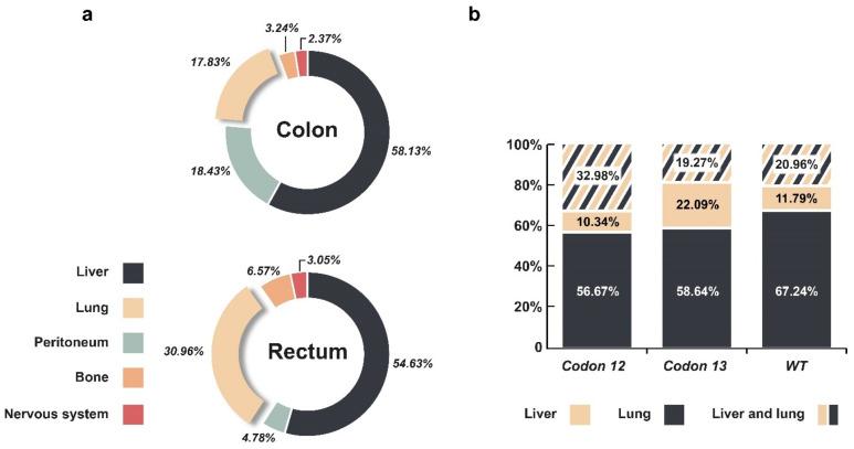 https://cdn.ncbi.nlm.nih.gov/pmc/blobs/94ee/8002639/9683d152d955/cells-10-00667-g003.jpg