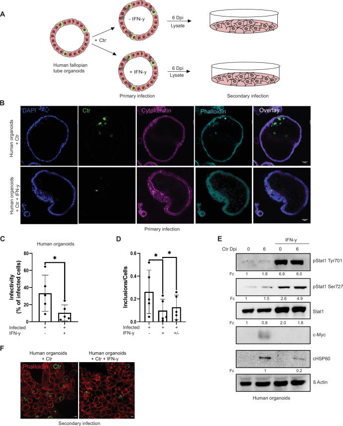 https://cdn.ncbi.nlm.nih.gov/pmc/blobs/94f8/9512400/18f964ac2be0/elife-76721-fig2.jpg