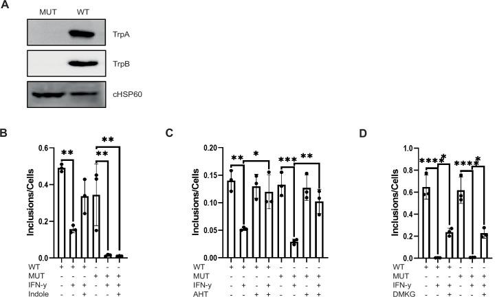 https://cdn.ncbi.nlm.nih.gov/pmc/blobs/94f8/9512400/3188341f9a93/elife-76721-fig7.jpg