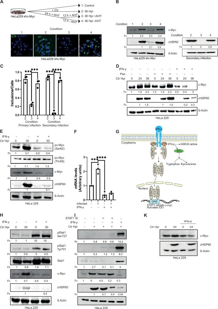https://cdn.ncbi.nlm.nih.gov/pmc/blobs/94f8/9512400/48290b5a28fd/elife-76721-fig1.jpg