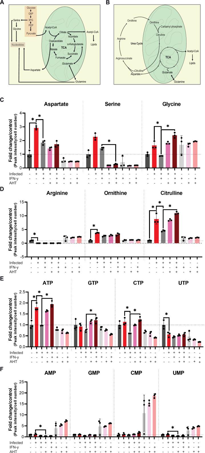 https://cdn.ncbi.nlm.nih.gov/pmc/blobs/94f8/9512400/8910bbe85f14/elife-76721-fig6-figsupp1.jpg