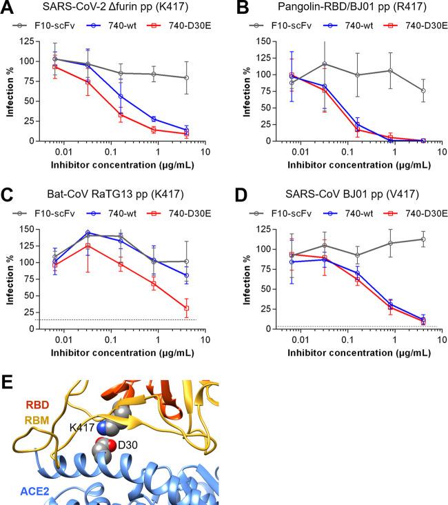https://cdn.ncbi.nlm.nih.gov/pmc/blobs/9502/7592233/818113991f9b/JVI.01283-20-f0005.jpg