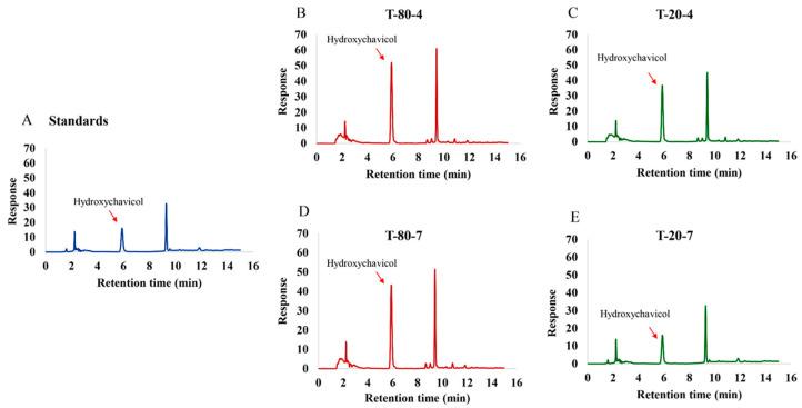 https://cdn.ncbi.nlm.nih.gov/pmc/blobs/950c/12382705/35a76d7d5b73/antibiotics-14-00788-g002.jpg