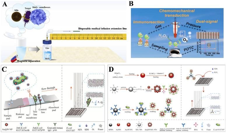 https://cdn.ncbi.nlm.nih.gov/pmc/blobs/9519/11726966/05e4420c44b4/biosensors-14-00580-g004.jpg