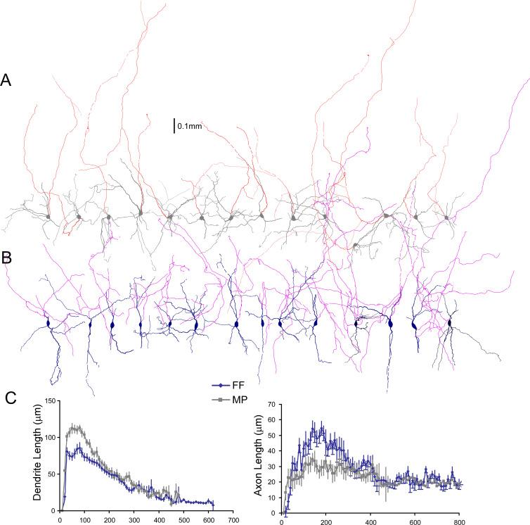 https://cdn.ncbi.nlm.nih.gov/pmc/blobs/9522/9934863/33bd2f33ccc6/elife-80100-fig2-figsupp2.jpg