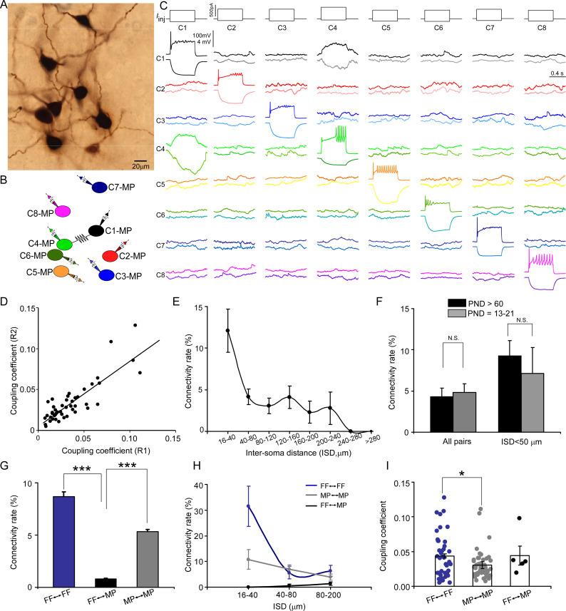 https://cdn.ncbi.nlm.nih.gov/pmc/blobs/9522/9934863/71cfa06625b3/elife-80100-fig4.jpg