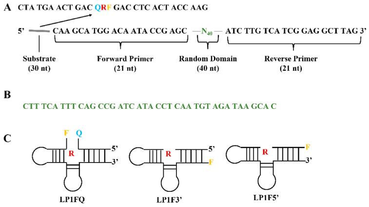 https://cdn.ncbi.nlm.nih.gov/pmc/blobs/952a/9688781/098e495a9102/biosensors-12-00982-g005.jpg