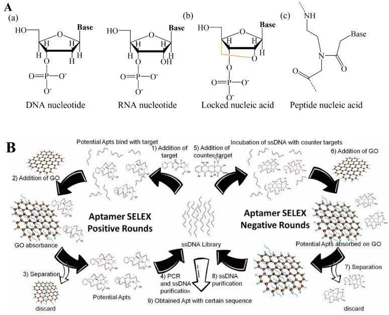 https://cdn.ncbi.nlm.nih.gov/pmc/blobs/952a/9688781/ef34c70dba91/biosensors-12-00982-g004.jpg