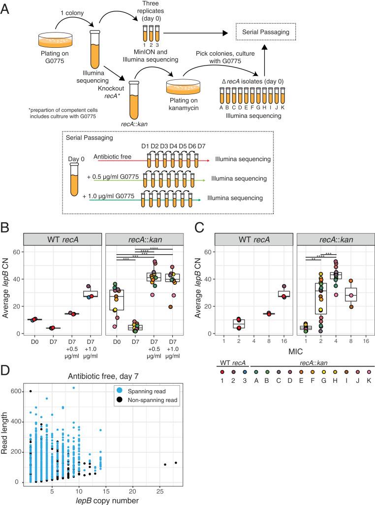 https://cdn.ncbi.nlm.nih.gov/pmc/blobs/9549/7817135/a9801ff9c203/pnas.2021958118fig03.jpg