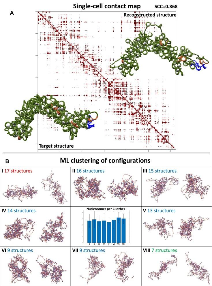 https://cdn.ncbi.nlm.nih.gov/pmc/blobs/9550/10810283/aa5c0e9f3b6c/gkad1121fig10.jpg