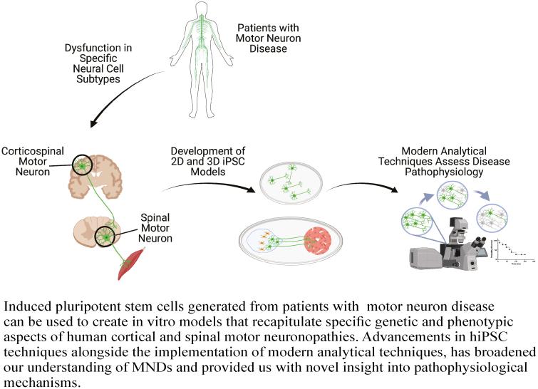 https://cdn.ncbi.nlm.nih.gov/pmc/blobs/9555/9199844/5a30c4404642/sxab006_fig3.jpg
