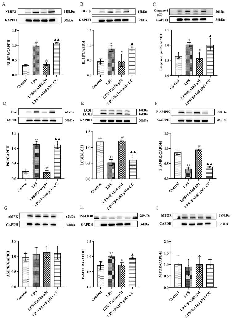 https://cdn.ncbi.nlm.nih.gov/pmc/blobs/955e/10217031/5c76ef54b6c3/molecules-28-03482-g007.jpg