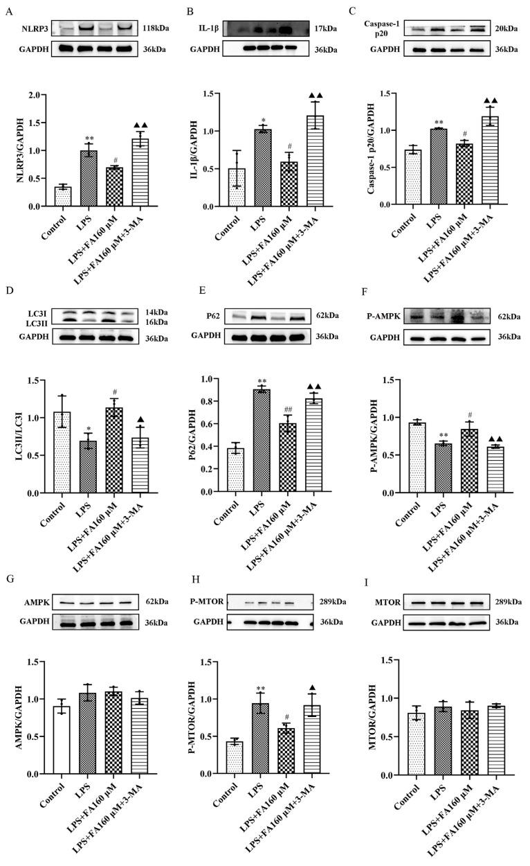 https://cdn.ncbi.nlm.nih.gov/pmc/blobs/955e/10217031/6c8b10c3a76b/molecules-28-03482-g006.jpg