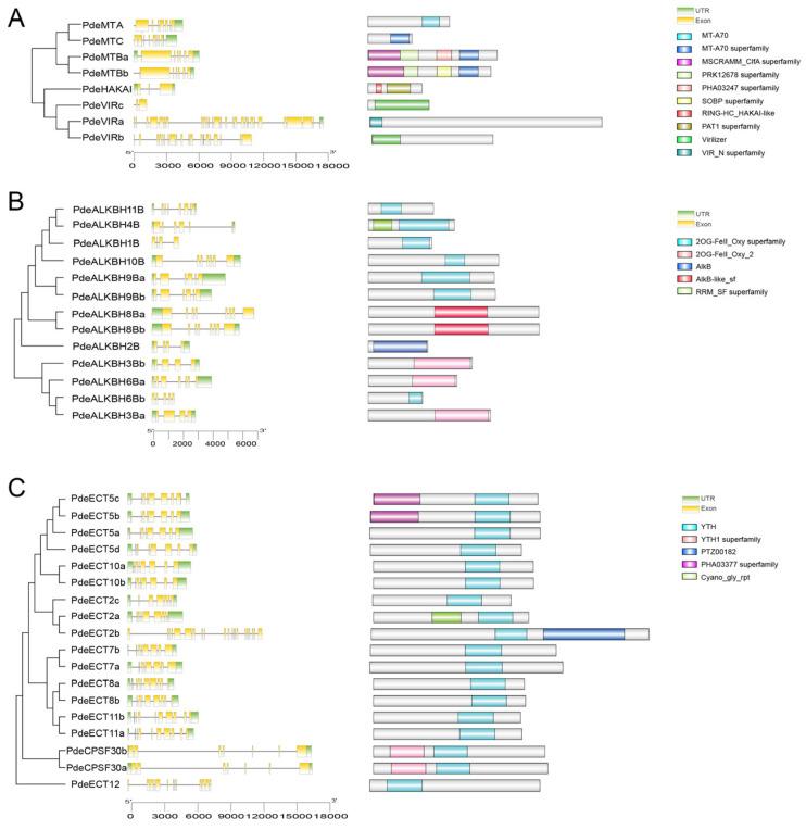 https://cdn.ncbi.nlm.nih.gov/pmc/blobs/9560/12251938/4f38e3016020/plants-14-02017-g003.jpg