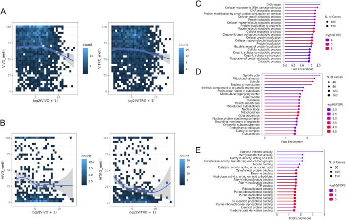https://cdn.ncbi.nlm.nih.gov/pmc/blobs/9572/12257493/3e30de4851b8/REP-25-0011fig4.jpg