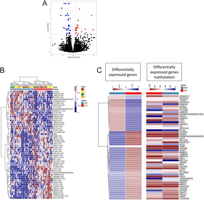 https://cdn.ncbi.nlm.nih.gov/pmc/blobs/9572/12257493/fd8a4a32ed21/REP-25-0011fig2.jpg