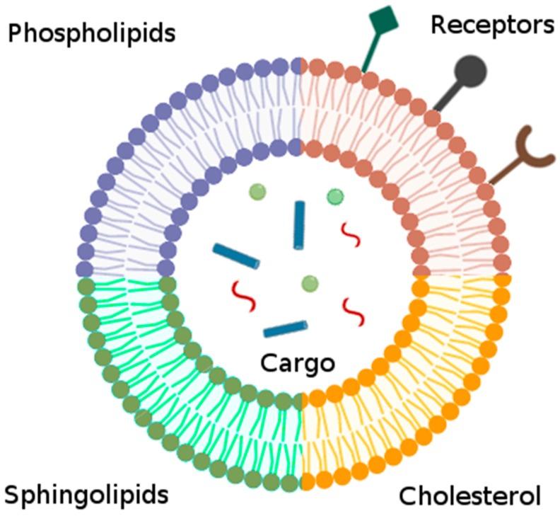 https://cdn.ncbi.nlm.nih.gov/pmc/blobs/9574/7023093/50657e61570a/biomolecules-10-00048-g003.jpg