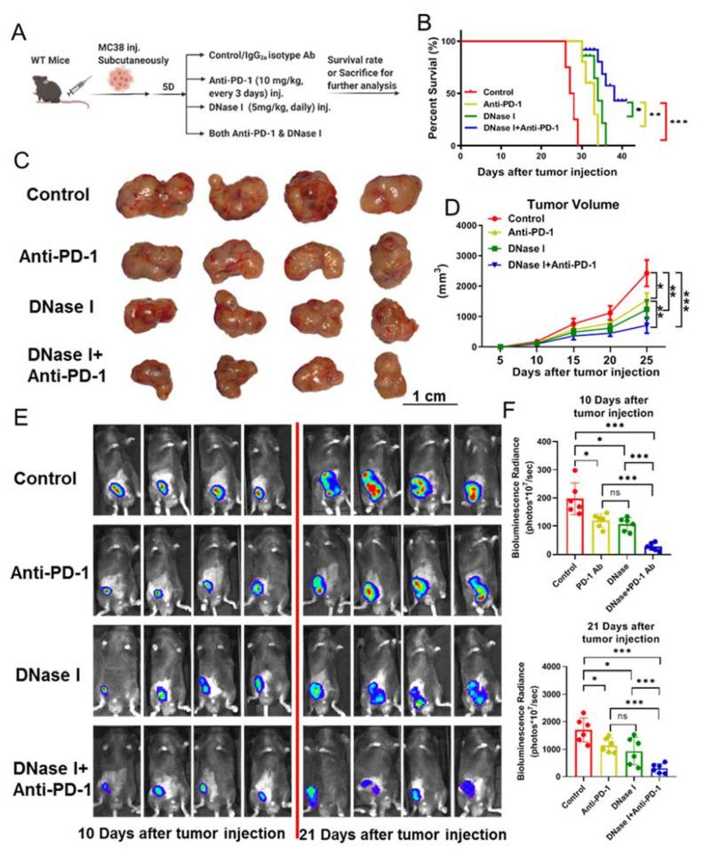 https://cdn.ncbi.nlm.nih.gov/pmc/blobs/95ba/8582562/002c14a87e48/cancers-13-05333-g001.jpg