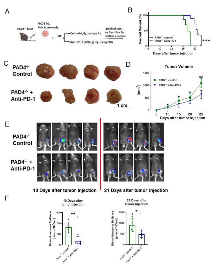 https://cdn.ncbi.nlm.nih.gov/pmc/blobs/95ba/8582562/2f95333c6fd4/cancers-13-05333-g005.jpg