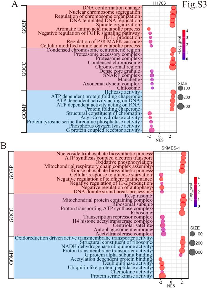 https://cdn.ncbi.nlm.nih.gov/pmc/blobs/95c5/12269609/87f6977eb99a/figs3.jpg