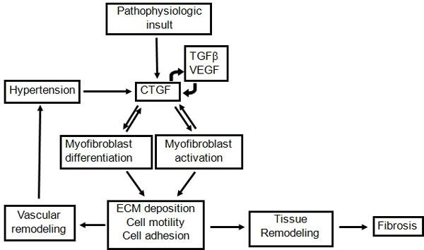 https://cdn.ncbi.nlm.nih.gov/pmc/blobs/95d4/3368796/cb09bc6bfc92/1755-1536-5-S1-S24-2.jpg