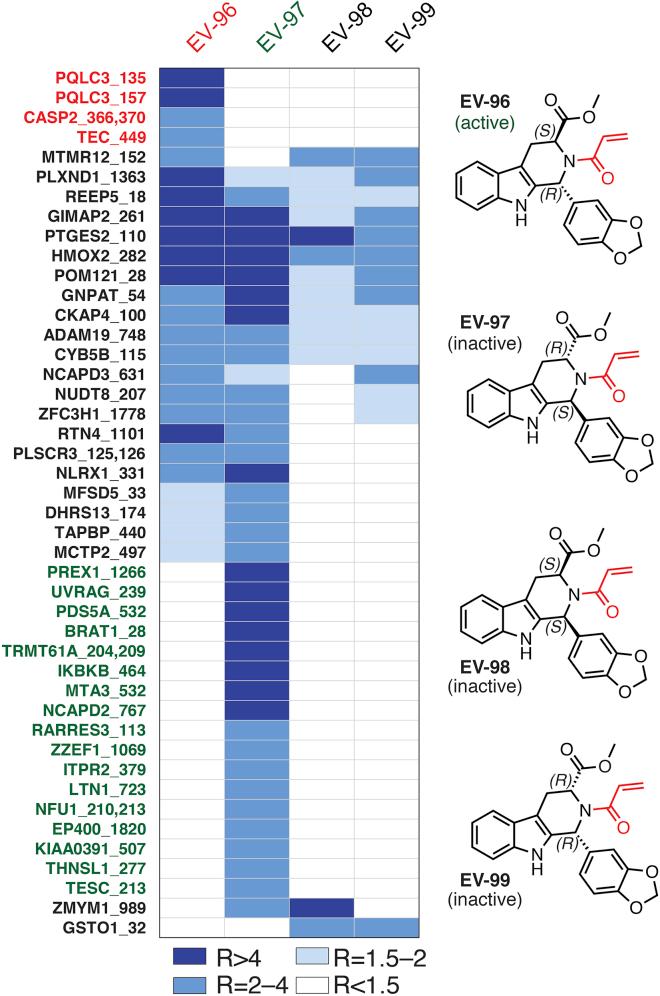 https://cdn.ncbi.nlm.nih.gov/pmc/blobs/95ec/8055706/72c102684204/gr4.jpg