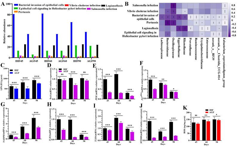 https://cdn.ncbi.nlm.nih.gov/pmc/blobs/95f8/10935305/43e9c0a8cbee/nutrients-16-00747-g002.jpg