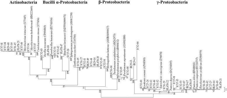 https://cdn.ncbi.nlm.nih.gov/pmc/blobs/9600/5658939/87fa1f406086/12866_2017_1117_Fig1_HTML.jpg