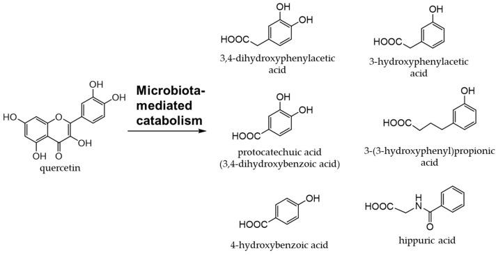 https://cdn.ncbi.nlm.nih.gov/pmc/blobs/9624/10135282/36ccc5dcf368/antioxidants-12-00880-g007.jpg